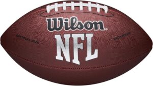 wilson nfl recreational footballs